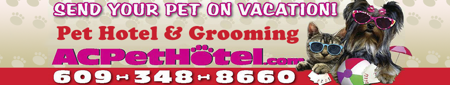 Pet Hotel and Grooming